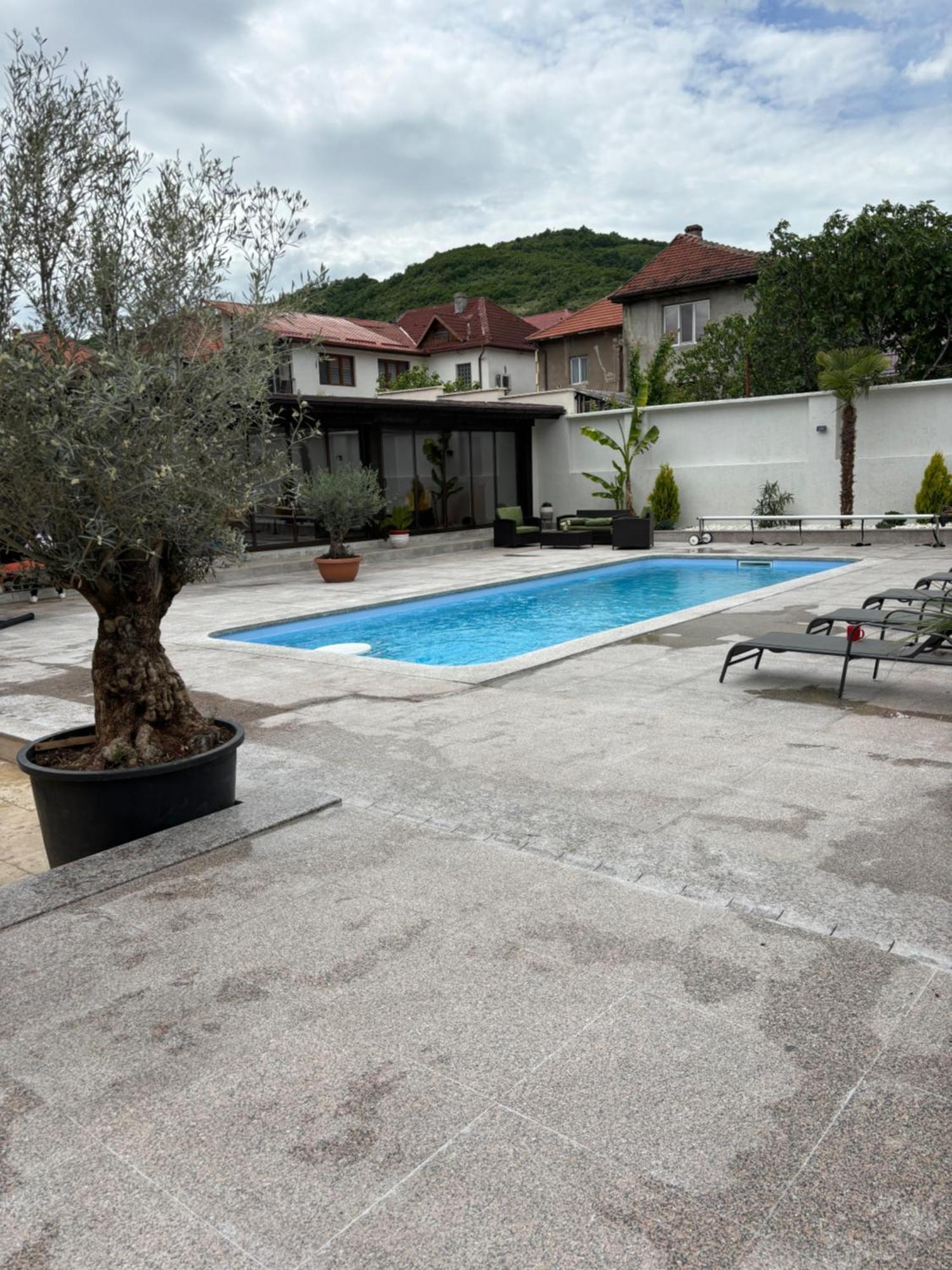 Kaleh Boutique Villa Orşova Екстериор снимка